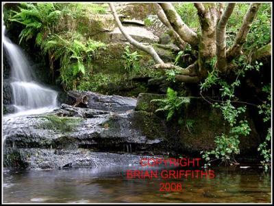 19 TALYBONT WATERFALLS