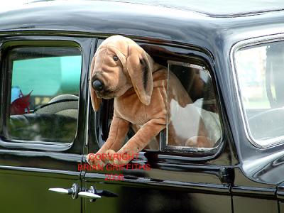 ABERGAVENNY STEAM FAIR
