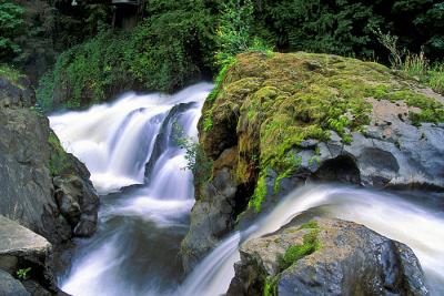 090740-23LowerTumwaterFallsWA.jpg