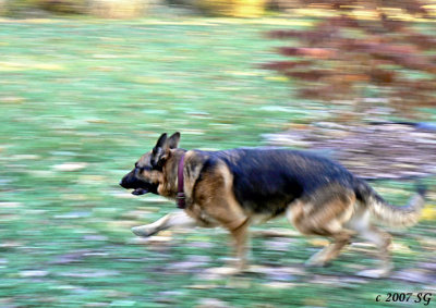 Coby Gives Panning Lessons