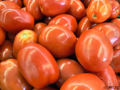Tomatoes Bending Light