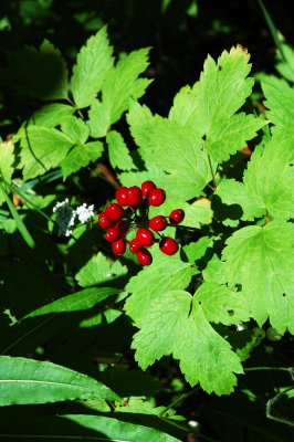 DSC_0667.jpg