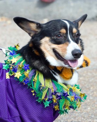 _DSC2963.jpg