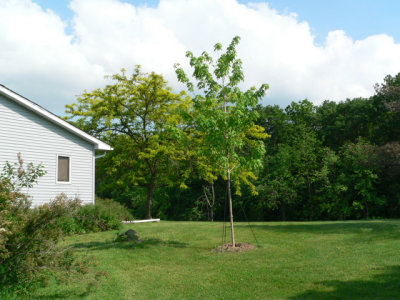 g3/82/779682/3/124912937.kfCgiVkb.jpg