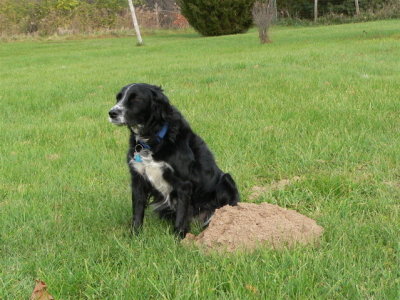 Annie and Gopher Mound