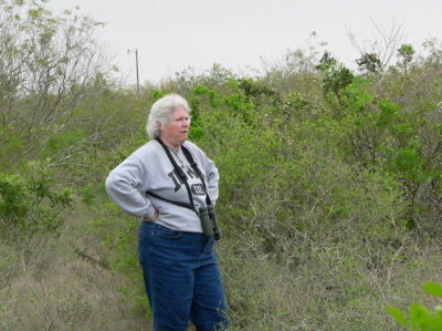 Critters in Texas