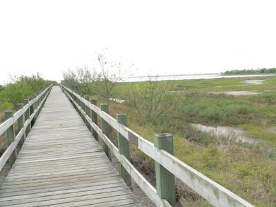 boardwalk at Hans Suter Nature Park
on Oso Bay, Corpus Christi