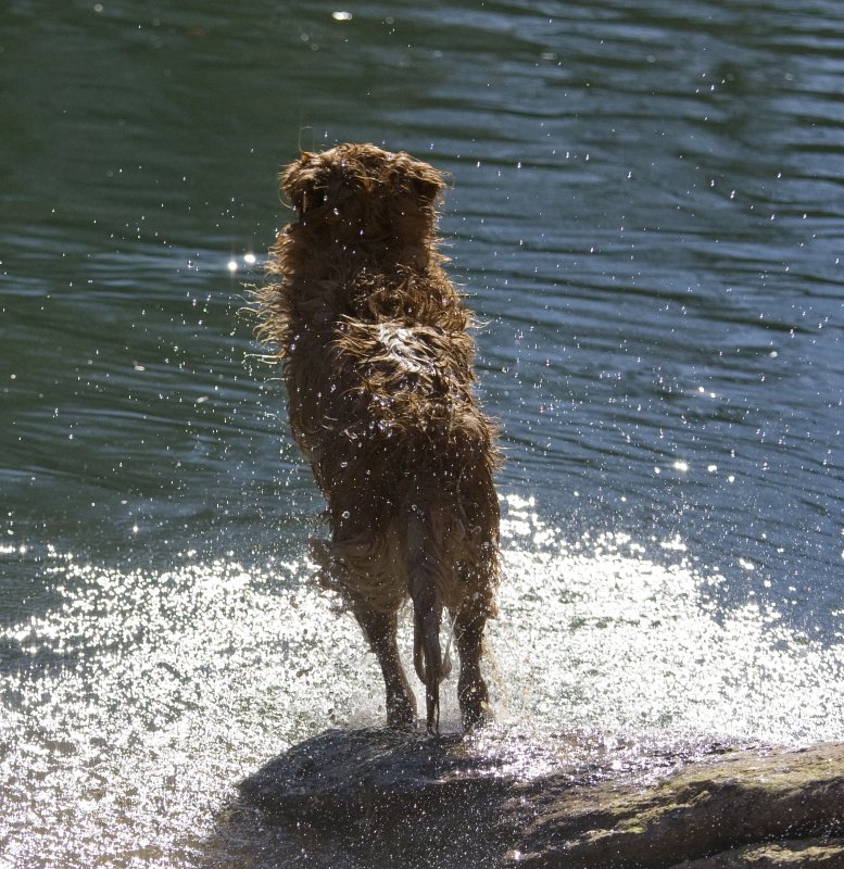 max (6 yrs) at the chattahoochee river