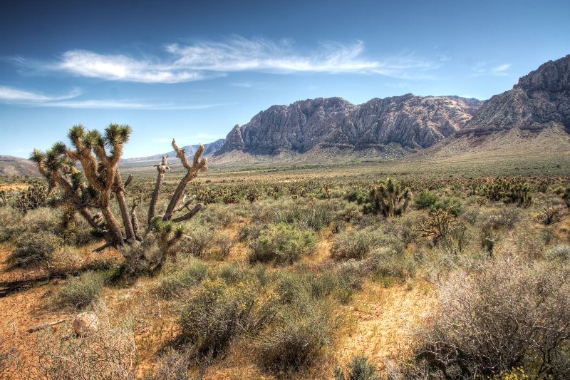 red rock canyon, nevada