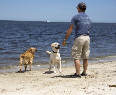 max, pullo and ronnie at fort pulaski