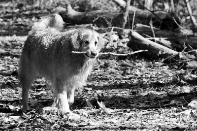 max (7 yrs) at the chattahoochee river