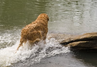 max (7 yrs) at the chattahoochee river