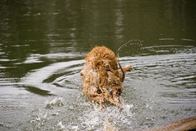 max (7 yrs) at the chattahoochee river