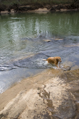 max (7 yrs) at the chattahoochee river