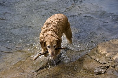 max (7 yrs) at the chattahoochee river