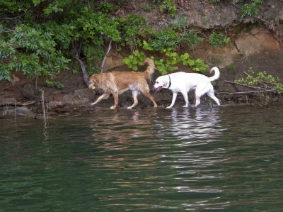 20100530_1472.jpg