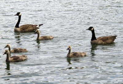 20100530_1510.jpg