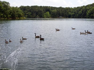 20100530_1512.jpg