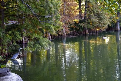 piedmont park, atlanta, georgia - october, 2007