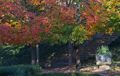 piedmont park, atlanta, georgia - november, 2007