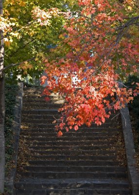 piedmont park, atlanta, georgia - november, 2007