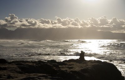maui coastline