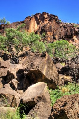 olowalu petroglyphs