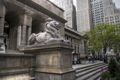 patience and fortitude (new york public library)