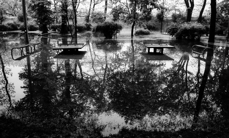 flooded park in b&w