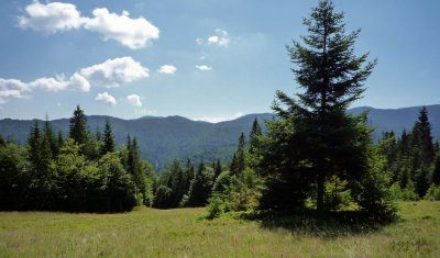 Turbacz - view from the beginning of hike