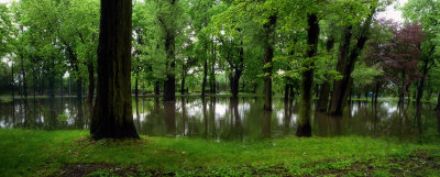 flooded park