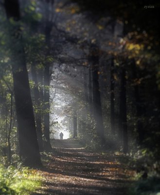 october morning cyclist nearby Niepolomice