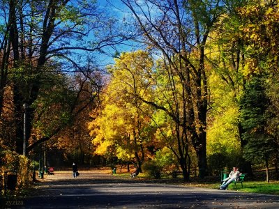 autumnal relax in a park