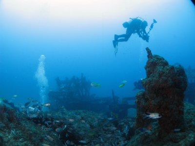 64_IMG_8114ac.jpg