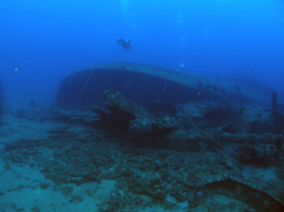 64_IMG_8519accr.jpg