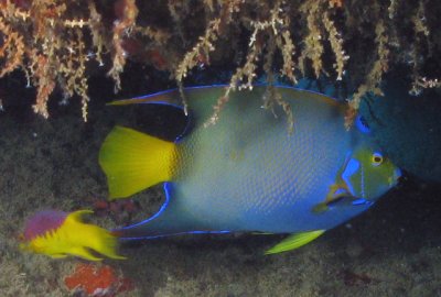 64_IMG_8602accr.jpg