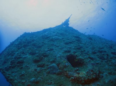 64_IMG_8634accr.jpg