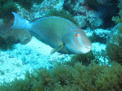 64_IMG_8828accr.jpg