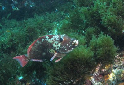 64_IMG_8832accr.jpg