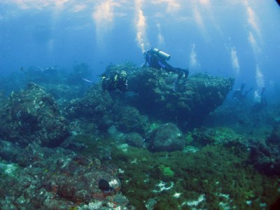 Panormica