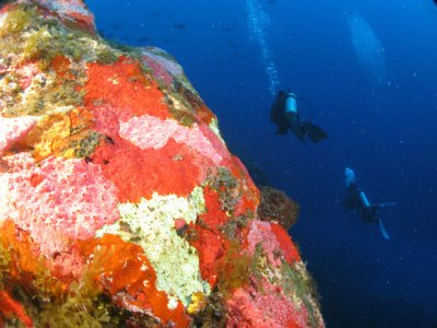 Panoramica