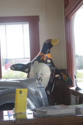 Our penguin shots started on Route 66