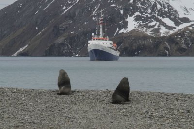 Waiting for us to come a shore