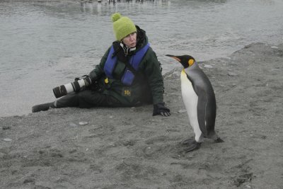 Talking to the penguins