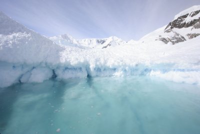 Iceberg