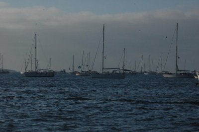 Fleet at Turtle Bay
