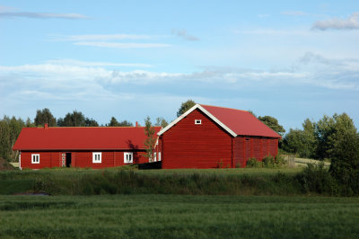 Red farm