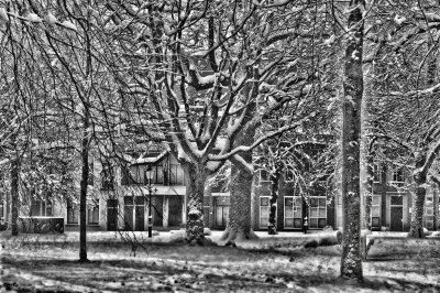 Winter 2009