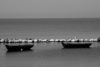 Fisherboats at Thiessow