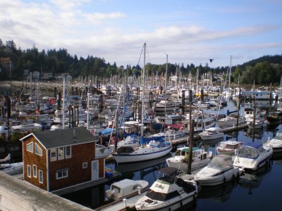 Lots to see around Gibsons' popular and scenic harbour